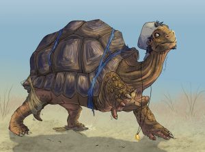 1707512046.amethystbeetle_turts_tf